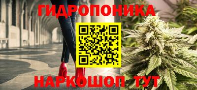 спиды Аргун