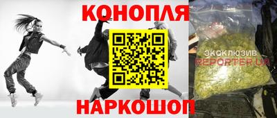 спиды Аргун
