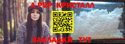 спиды Аргун
