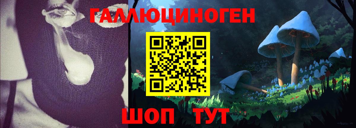 Берёзовский  Псилоцибиновые грибы Cubensis  Галлюциногенные грибы Cubensis  Вход с VPN 